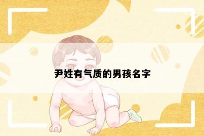 尹姓有气质的男孩名字